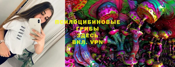 прущие крисы Кукмор