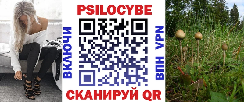 Псилоцибиновые грибы Magic Shrooms  Купить закладки  Анжеро-Судженск 