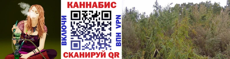 МАРИХУАНА план  Купить где  Анжеро-Судженск 